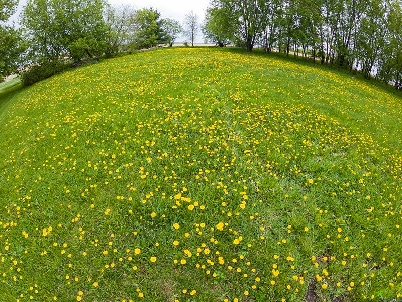 Fun with the GoPro’s wide lens on a farm in Minnesota