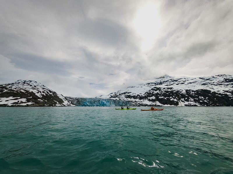 Panoramic view of the Lamplugh Glacier, Alaska