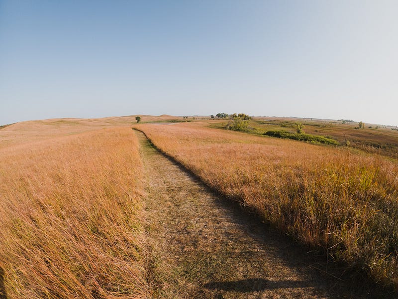 Prairie beauty captured at Glacial Lakes State Park, Minnesota