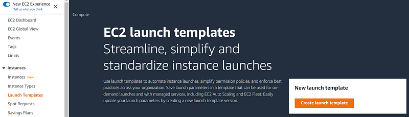 Launch template settings