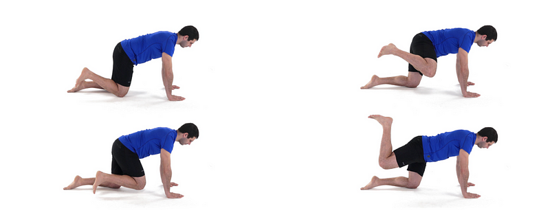 Quadruped Hip CAR Exercise