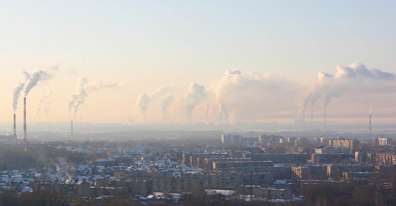 Urban landscape devoid of wildlife