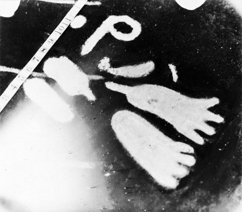 Engraved footprints on the Cochno Stone