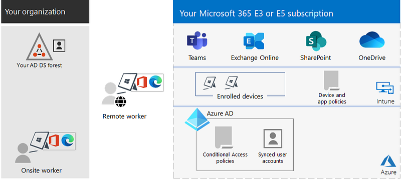 Microsoft 365 Adoption Resources