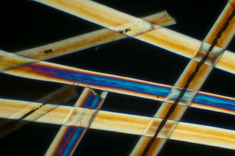 Microscopic Cross-Polarization of Human Hair