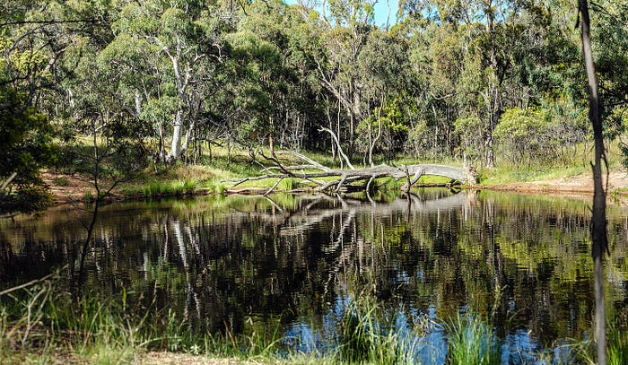 Ancient Songlines and Cultural Heritage