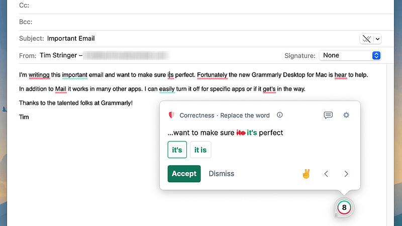 Grammarly error correction feature