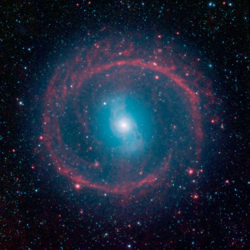 NGC 1291, a rare ring galaxy with distinct features